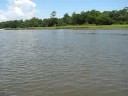 Dolfins in the Intercoastal Dolfins in the Intercoastal