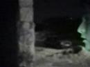 El Lobo de chenku 2a parte