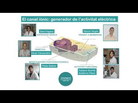 youtube-img