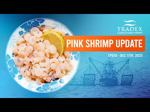 3MMI - West Coast Pink Shrimp Update: Record Low Prices, Harvest Trends & Future Outlook