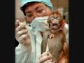 No more animal cruelty!