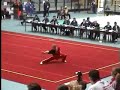 Antti Kupiainen's Changquan in European Wushu Championships. He got Silver medals in daoshu and gunshu! He is from Finnish Wushu Team