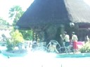 swimming 08