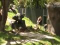 Zoo