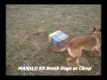 MANALO K9 Bomb Dog Camp