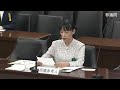 参議院 2019年06月13日 厚生労働委員会 #04 高橋亜美（参考人　アフターケア相談所ゆずりは所長）
