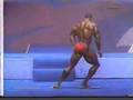 Flex-Wheeler-1993