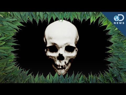 how to treat bhang poisoning