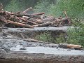 \"Your road on drugs....\" - Debris flow at Mount Rainier 2005 \"Your road on drugs....\" - Debris flow at Mount Rainier 2005