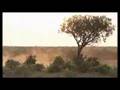 Maysoon - my love in Africa