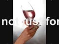 Wine Accessories Wine Accessories