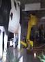 Robot Cow Milker