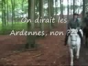 Rallye de Flobecq 2008