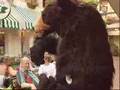 Gatlinburg Tunes and Tales
