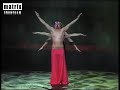 Showteam Matrix - The Butterfly Effect