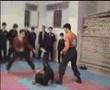 kungfutoa