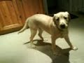 MOV01008 MOV01008