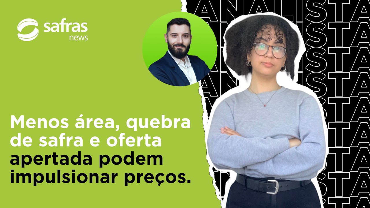 Oferta de feijão pode entrar em colapso no segundo semestre? Entenda o alerta