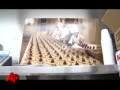 Video Essay: Obama Pastry Chef The Crustmaster