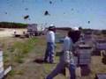 Bee Keeping in a Bee Frenzy