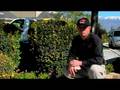 videos de Termite Control : Does Composting Bring Termites?