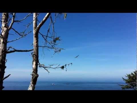 See video
