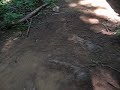 whistler bc train wreck bike trail