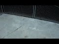 Sony HDR-CX105E test footage slow motion exploding wine bottle (1080i original)