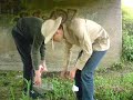 Szima i Kudzu Na Tropie Chru?cik�w