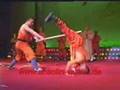Shaolin Übung: Holzknüppel zwischen die Beine prügeln
