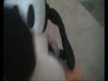 plushies attack!