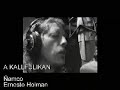 ernesto holman   a kallfulikan  ñamco 2003 