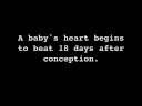 Abortion Awareness