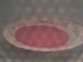bologna in a microwave