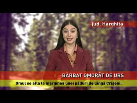 Un bărbat a fost omorât de un urs, în județul Harghita