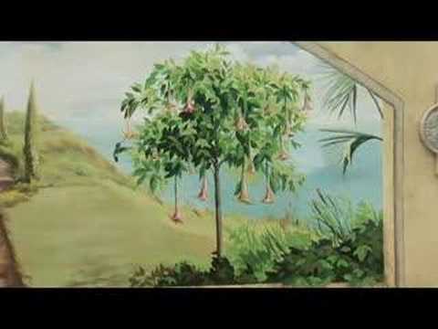 how to paint a trompe l'oeil wall mural