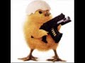 pollo qliao pollo qliao