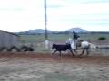 videos de kekeh 095.mpg