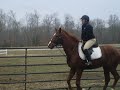 charlie canter sm ring