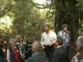 Frank Strie - Myrtle Forest1