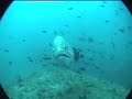 Buceo en las Islas Medas