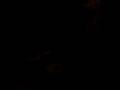 A VIDEO 4 BRATZQUEEN1& CRAZYB988!