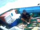 anglers gang SINGAPORE.com
