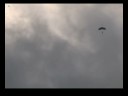 Mark leaps from a plane pt 1 Mark leaps from a plane pt 1
