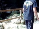 Puerto Rico 22