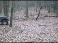 videos de Dave's Tree Removal