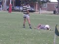 nokeo de huevo