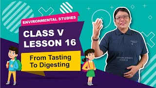 Lesson 16 - From tasting to Digestive
