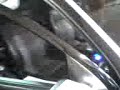 expotrade - astra trov�o