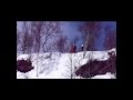 skoter i borgafjäll 2011.wmv